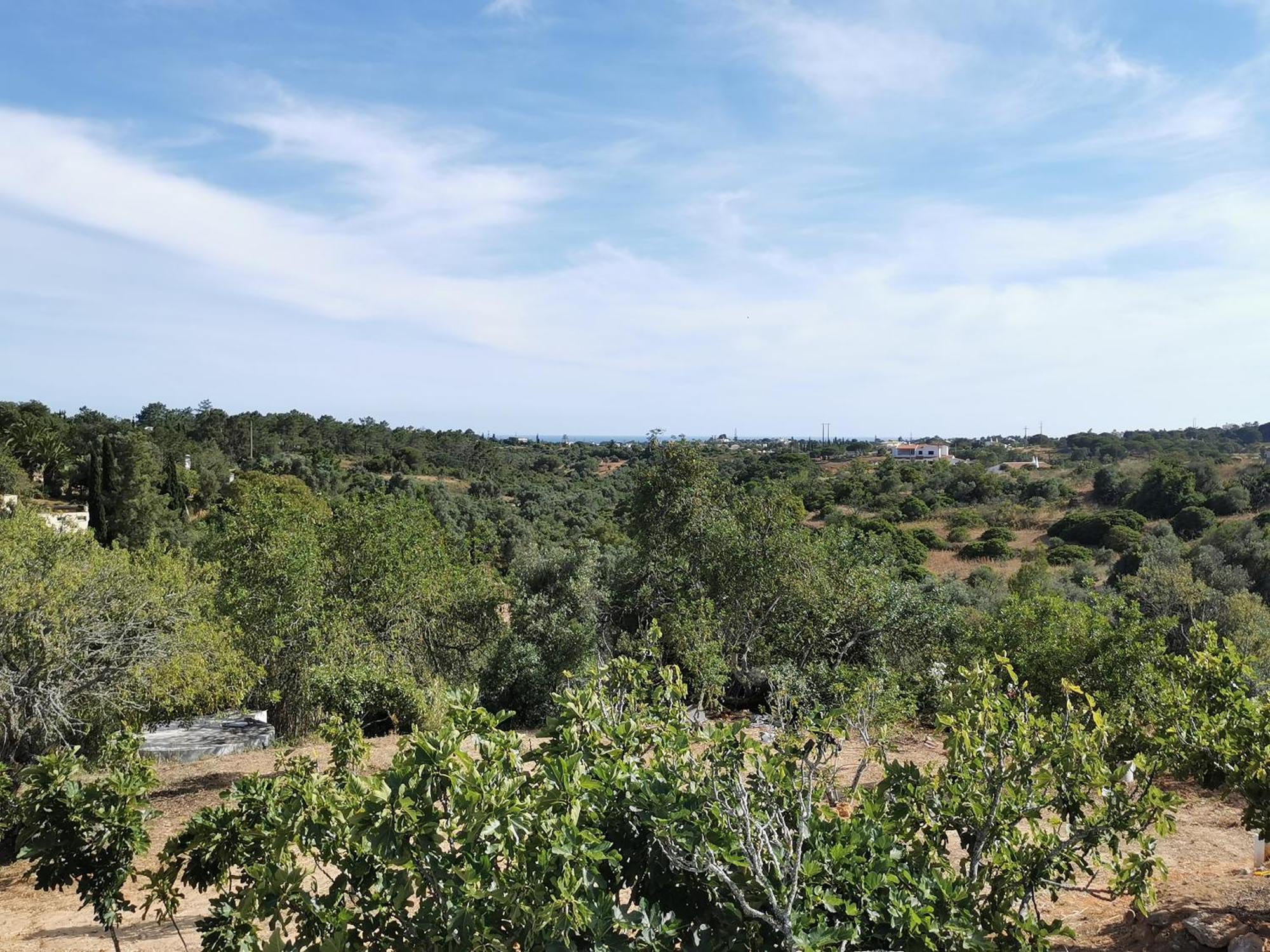 Beguest Casas De Taipa Villa Lagoa  Dış mekan fotoğraf